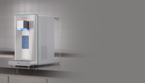 Filtering water dispensers