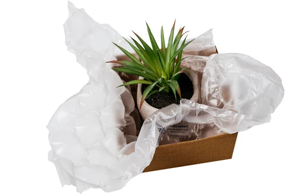 OPUS aeroPOUCH - kaktus