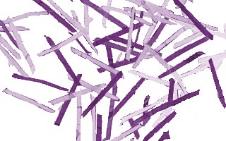 Niszczarki - stopień tajności kategoria T-2