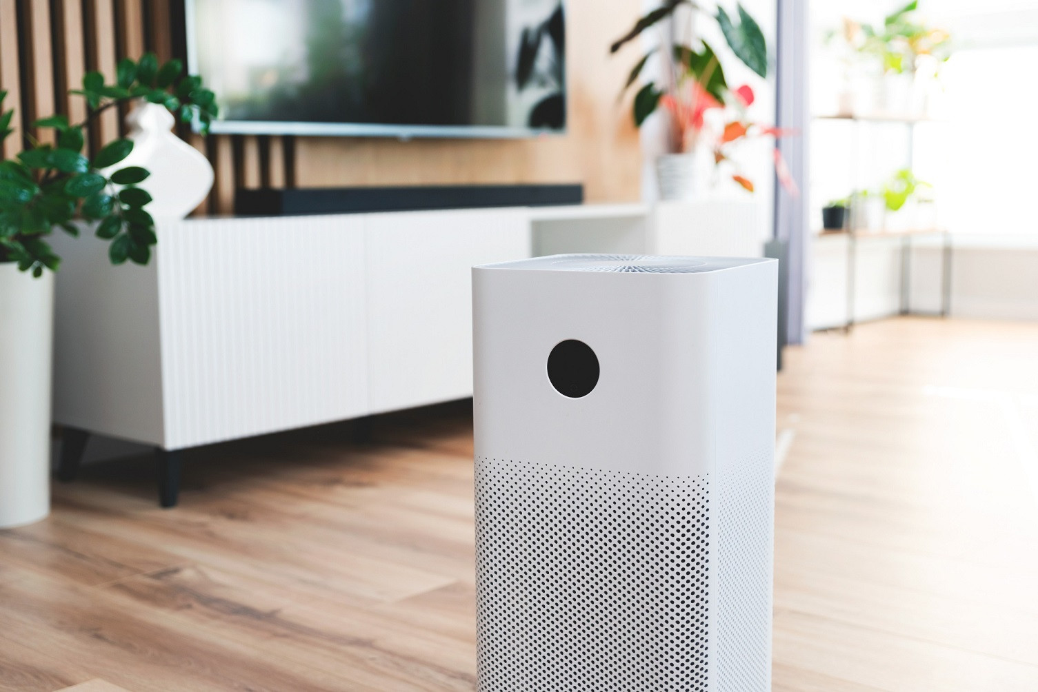 Oczyszczacz powietrza w salonie