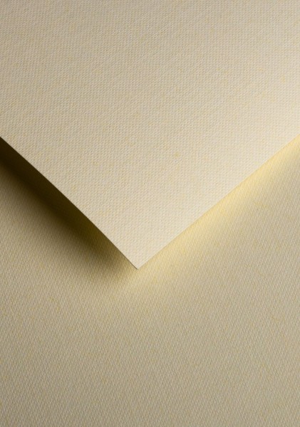 Papier ozdobny Papier ozdobny - O.Papiernia PLECIONY - 120 g/m² - 50 sztuk - kremowy