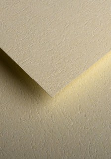 Quality paper - O.Paper mill LEATHER - 230 g/m² - 20 pieces