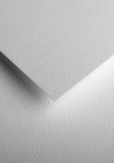 Quality paper - O.Paper mill LEATHER - 230 g/m² - 20 pieces
