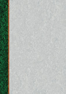 Dyplom - O.Papiernia STANDARD 2 - 110 g/m² - 25 sztuk