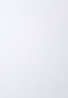 Quality paper - O.Paper mill FLORA - 230 g/m² - 20 pieces