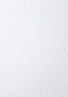 Papier ozdobny - O.Papiernia FLORA - 230 g/m² - 20 sztuk