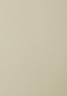 Papier ozdobny - O.Papiernia FLORA - 230 g/m² - 20 sztuk