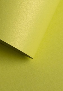 Quality paper - O.Paper mill PERL - 250 g/m² - 20 pieces