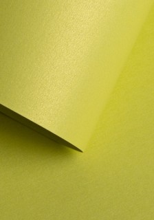 Quality paper - O.Paper mill PERL - 120 g/m² - 50 pieces