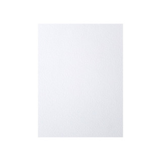 Papier ozdobny - O.Papiernia FLORA - 120 g/m² - 50 sztuk - biały