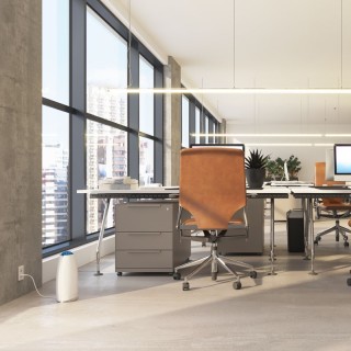 Oczyszczacz i sterylizator powietrza - Airfree Tulip 80