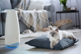 Oczyszczacz i sterylizator powietrza - Airfree Elite II