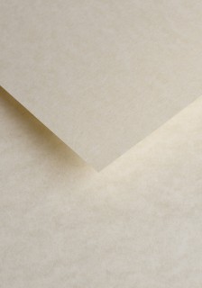 Papier ozdobny - O.Papiernia MARINA - 90 g/m² - 25 sztuk - kremowy