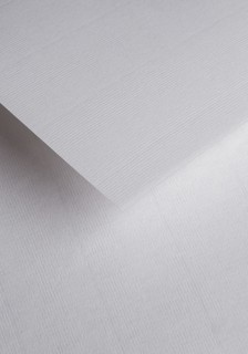 Papier ozdobny - O.Papiernia COROLLA - 100 g/m² - 25 sztuk - biały